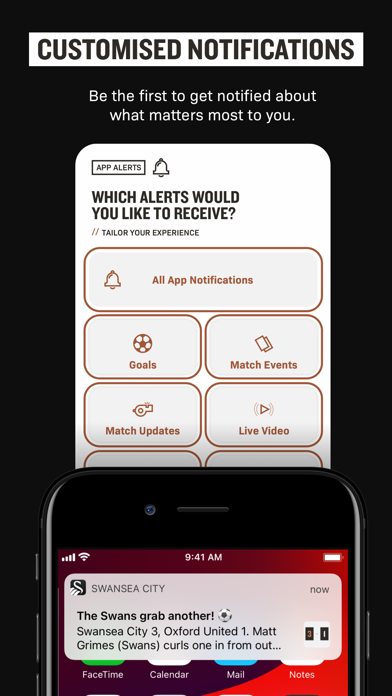 Swansea City Screenshot