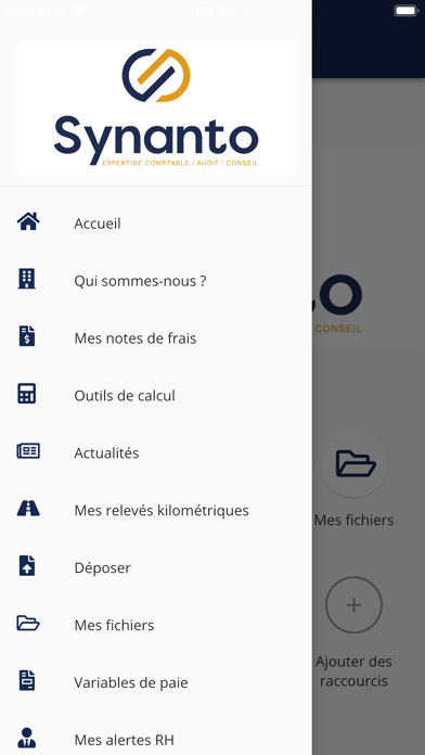 SYNANTO Screenshot