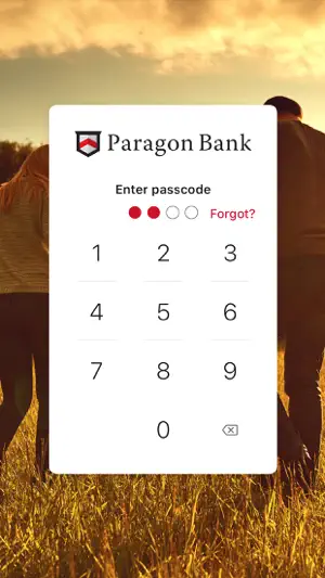 Bank Paragon screenshot 2