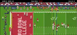 Game screenshot Retro Bowl College mod apk