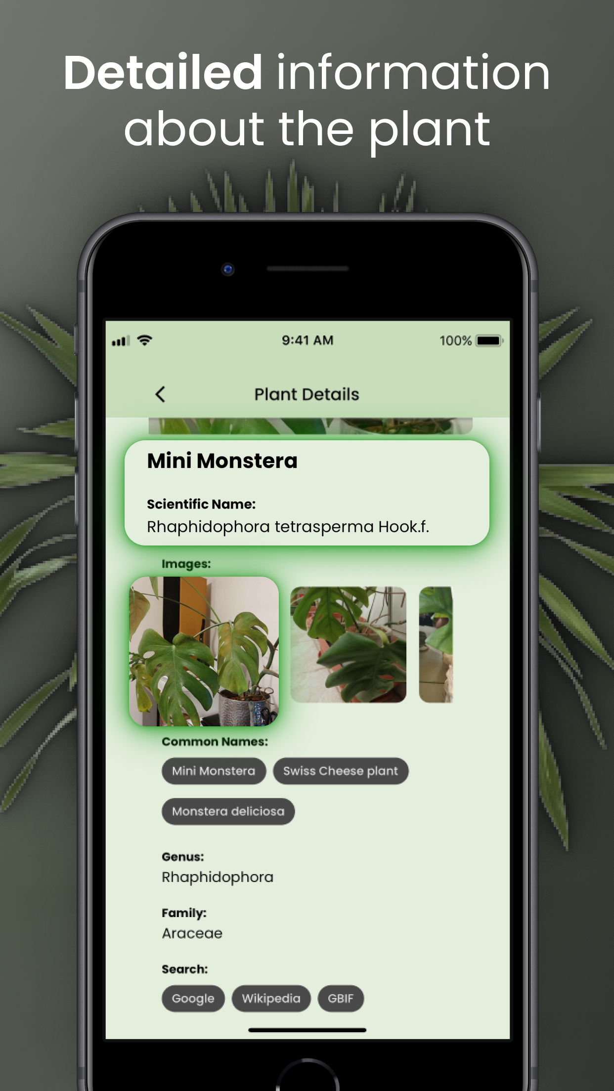 AI Diagnosis For Sick Plants