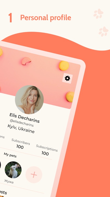 Rooli-social network for pets