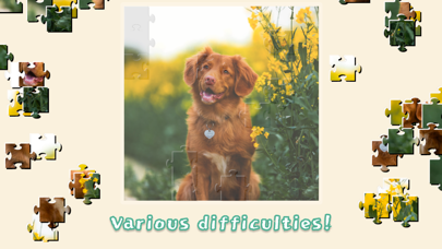 Dogs Mania Jigsaw Puzzles Screenshot