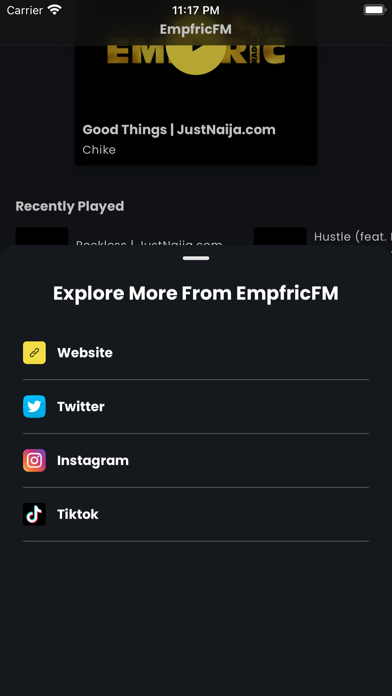 Screenshot #3 pour EmpfricFM