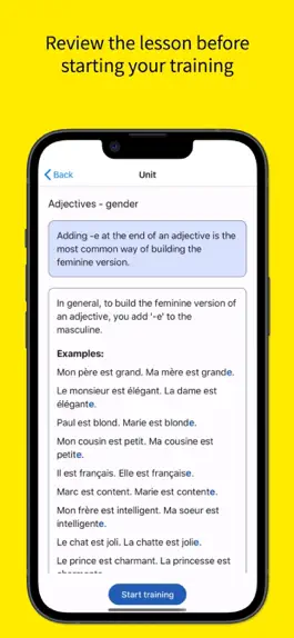 Game screenshot French Grammar Master hack