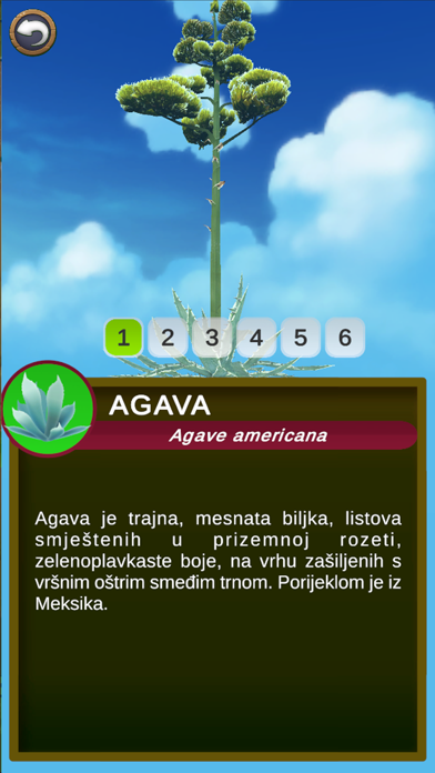 Park Marjan: Upoznaj Botaniku Screenshot
