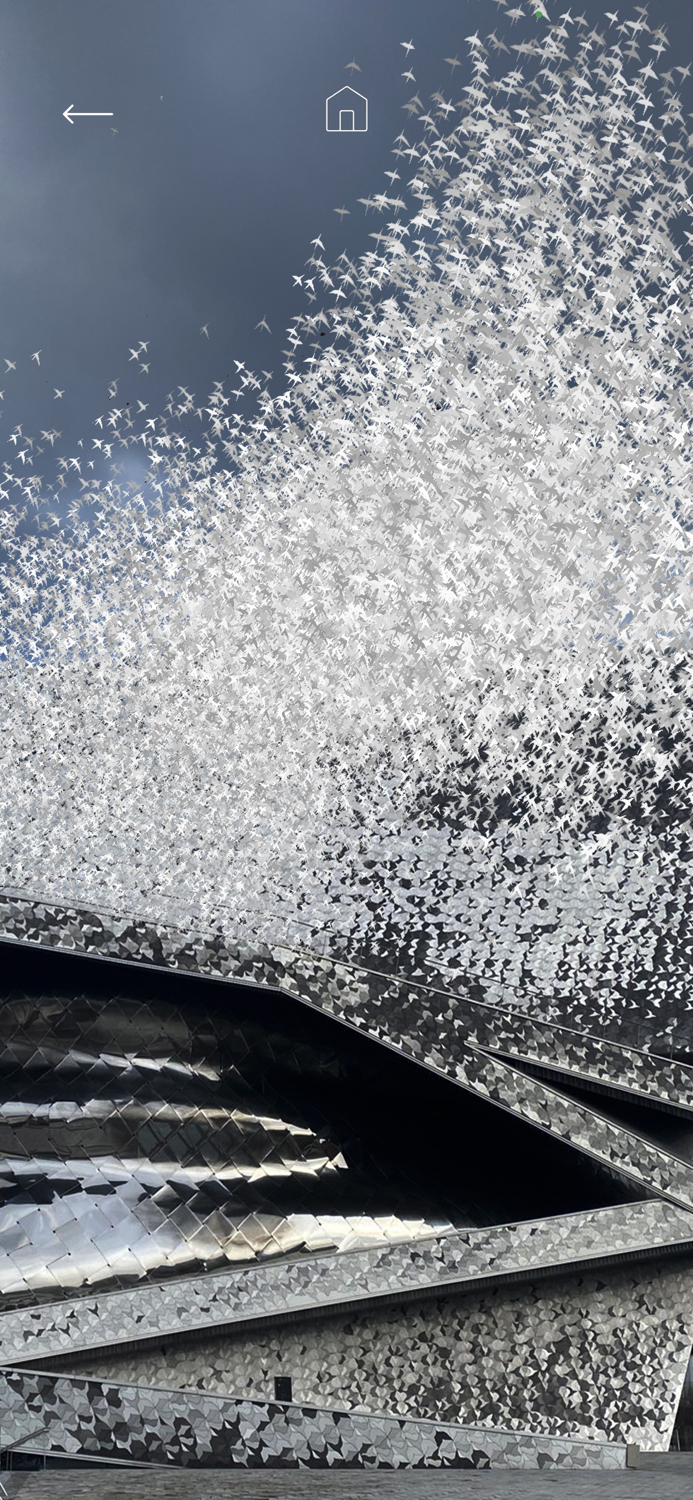 Les oiseaux de la Philharmonie