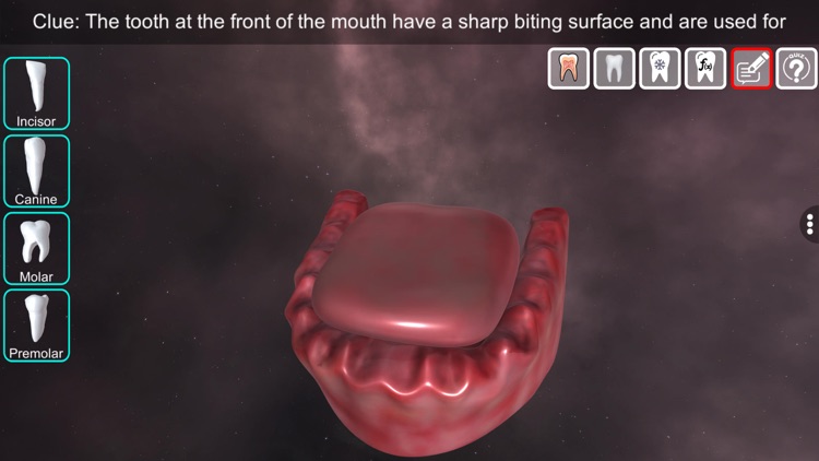 Incredible Human Teeth screenshot-6
