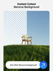 background eraser - piccutout ipad bildschirmfoto 1