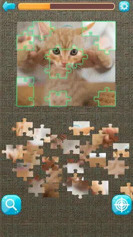Game screenshot Cat's Gallery hack