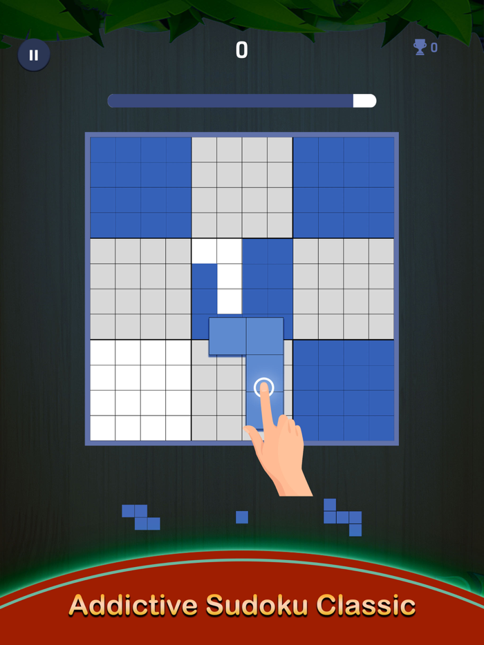 Sudoku Wood Grid Block Puzzle