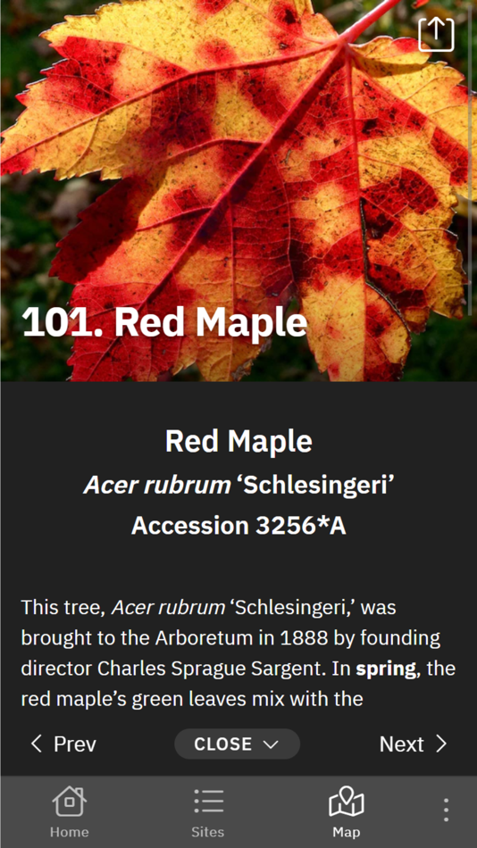 #5. Expeditions: Arnold Arboretum (iOS) By: Harvard University