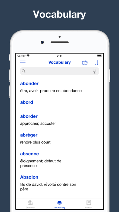 French Grammar and Vocabulary Screenshot