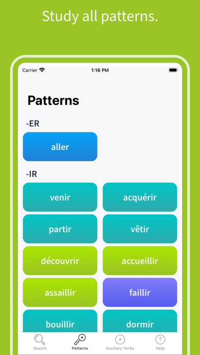 French Verbs 2020 Screenshot