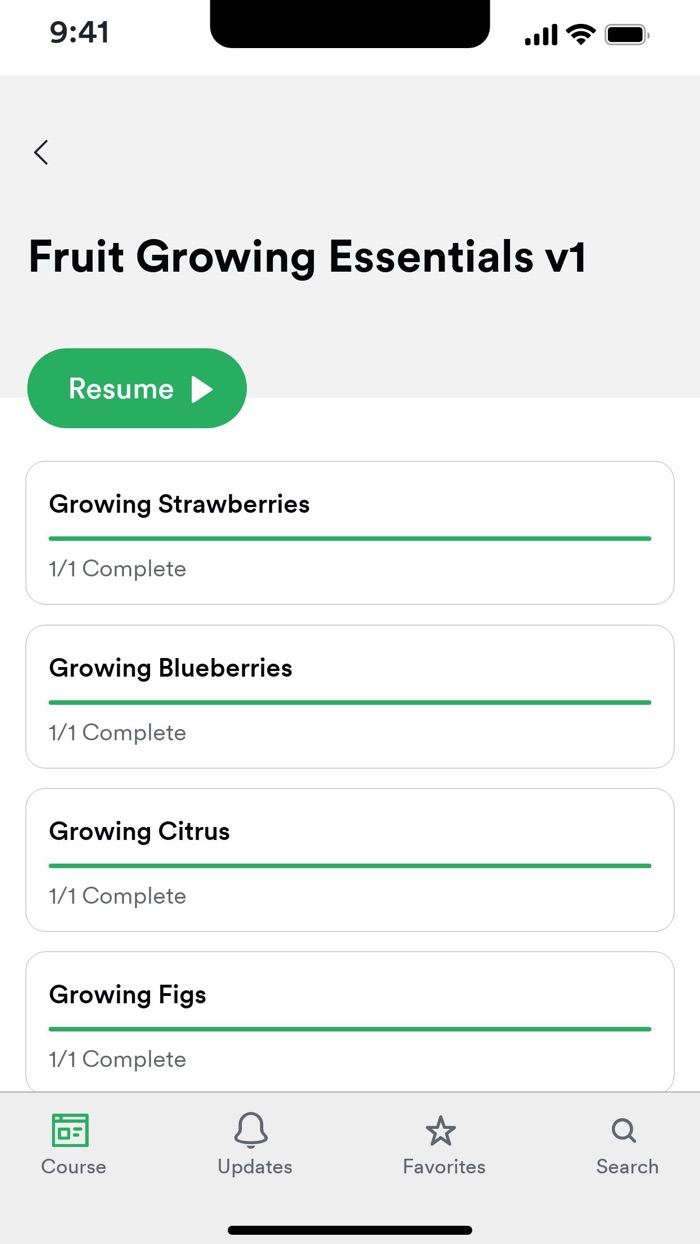 Wild Child Kitchen Gardens