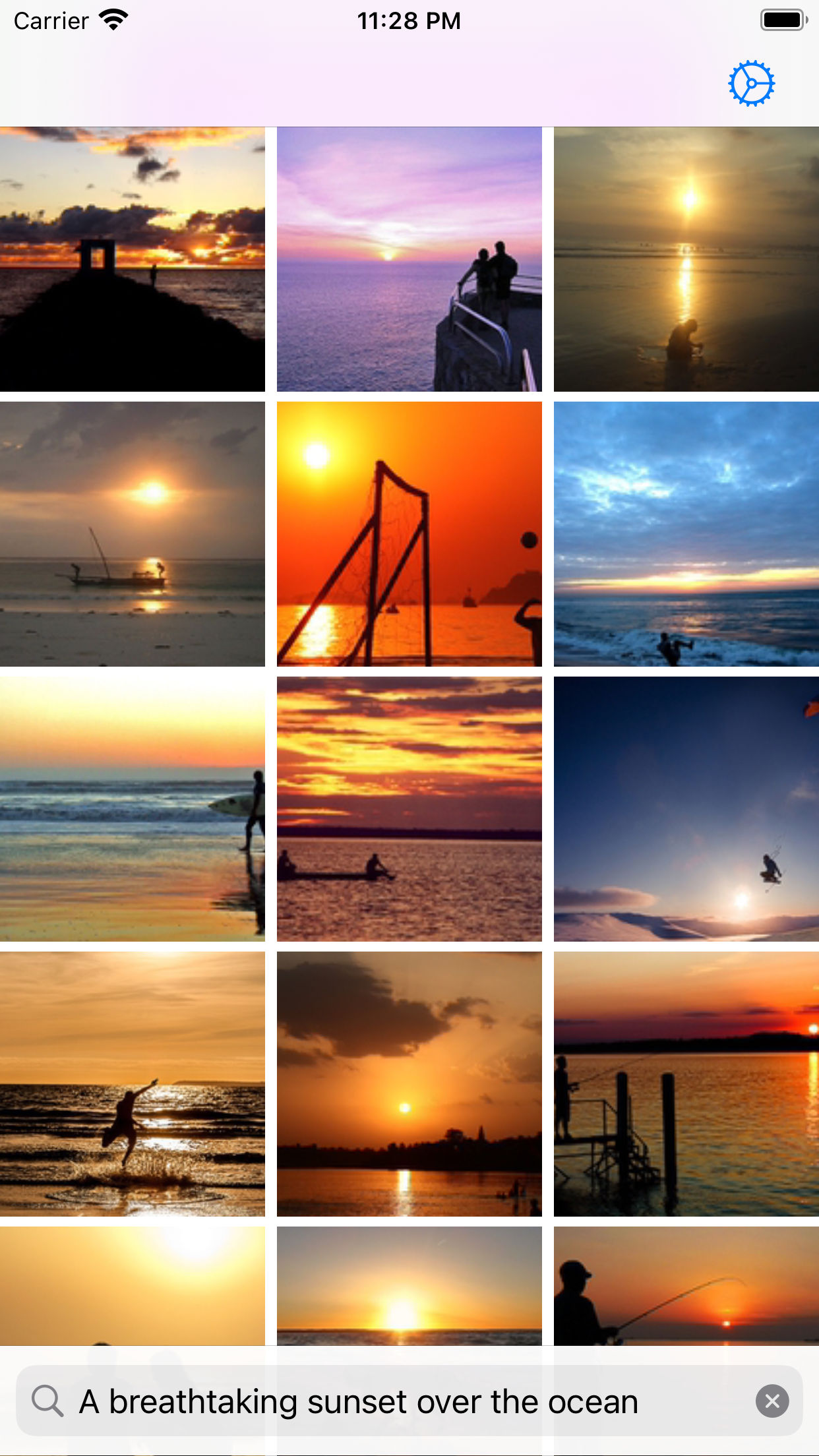 PhotoSearcher