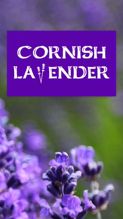 CORNISH LAVENDER screenshot-7