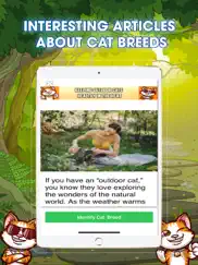 cat breeds identifier айпад изображения 2