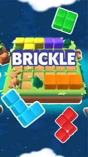 brickle! problems & solutions and troubleshooting guide - 3