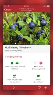 wild berries and herbs 2 pro iphone screenshot 4