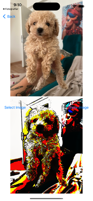 ‎Toon&More AI Image Editor Pro Screenshot