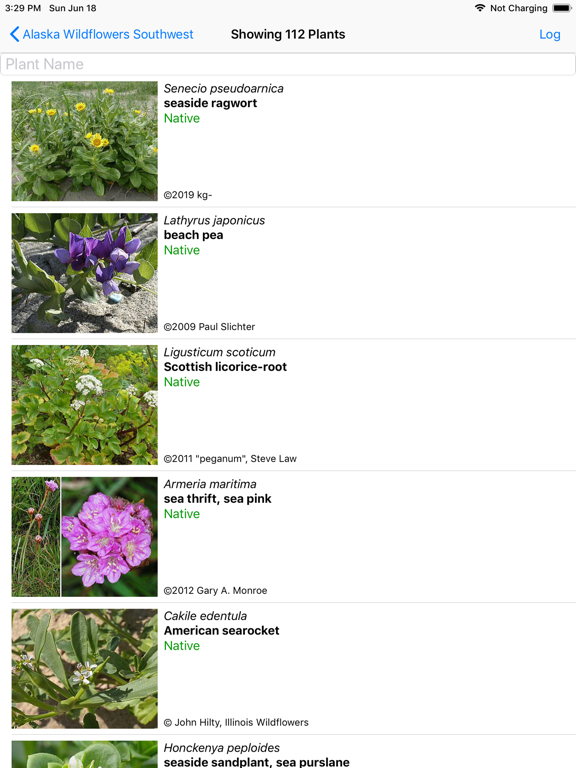 Alaska Wildflowers SW iPad screenshot