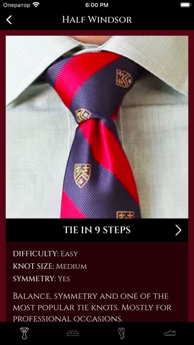 How To Tie a Tie ⁺ Screenshot