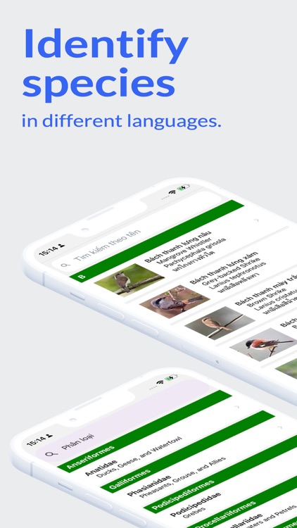 Vietnam Birds (plus)