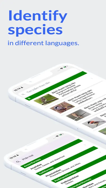 Vietnam Birds (plus) screenshot 1 of 5