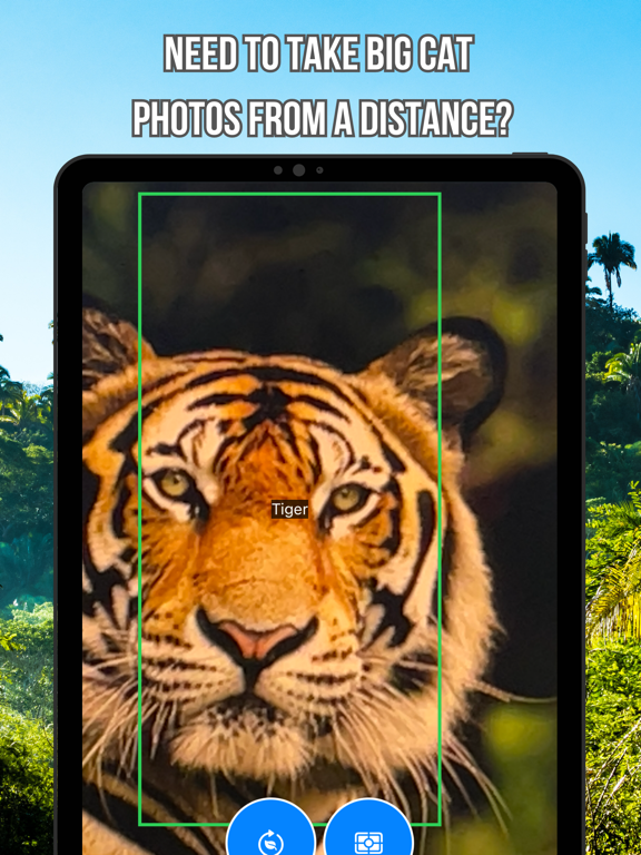 The Big Cat Classifier iPad screenshot 2 - Photo & Video app
