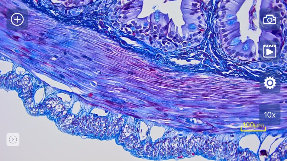 #5. MicroSNAP (iOS) 来自: ACCU-SCOPE INC.