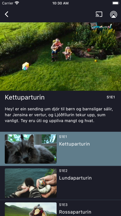 KVF Vit Screenshot