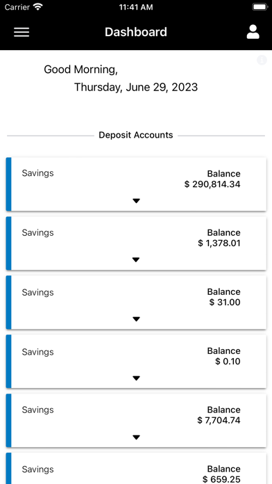 LeeBank24 Mobile Screenshot