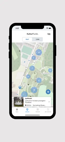 Game screenshot KulturPunkt apk