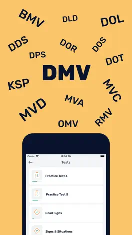 Game screenshot DMV Permit Practice Test - Hub apk