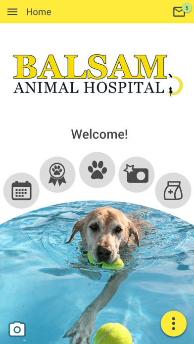 Balsam Animal Hospital Screenshot