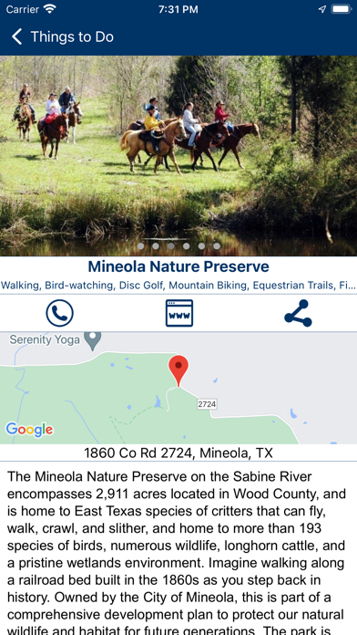 City of Mineola Texas Screenshot