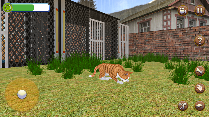 Animal Shelter Pet Cat Games