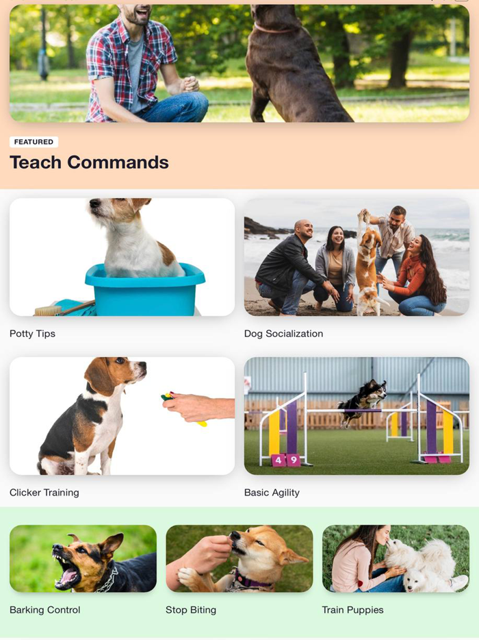 Dog Training Tips Master Dogs