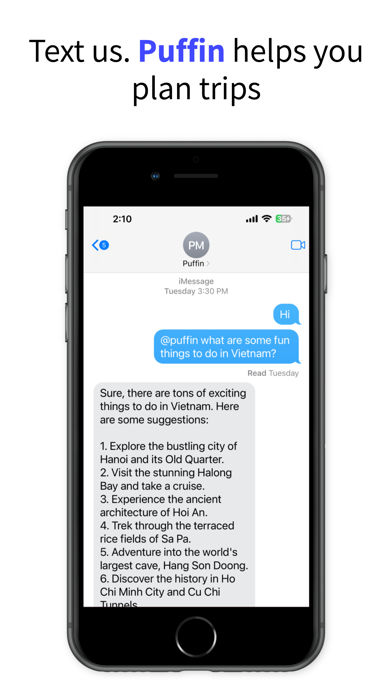 Puffin: AI Travel Assistant Screenshot