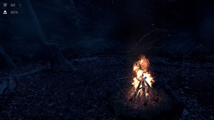 The Holyburn Witches