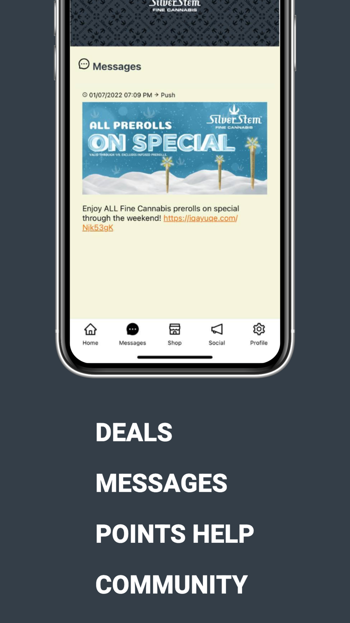 Silver Stem Fine Cannabis