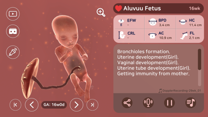 Screenshot #3 pour Aluvuu Fetus