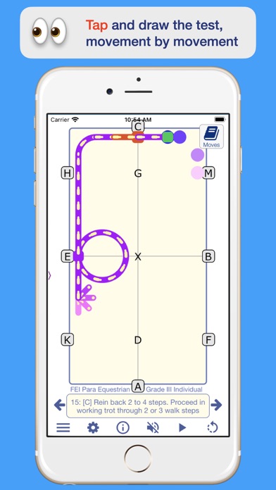 FEI Para Dressage Screenshot