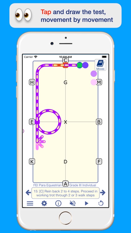 FEI Para Dressage screenshot-3