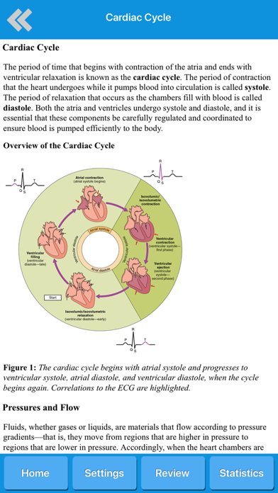 Screenshot #3 pour Circulatory System Anatomy