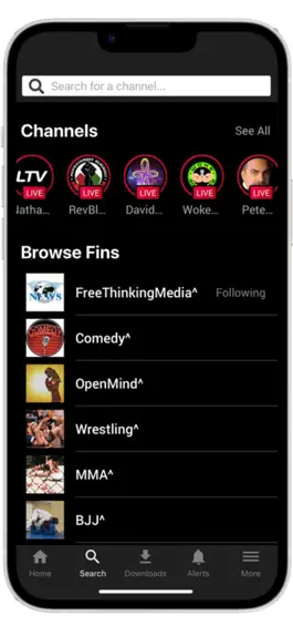 Game screenshot Rokfin mod apk