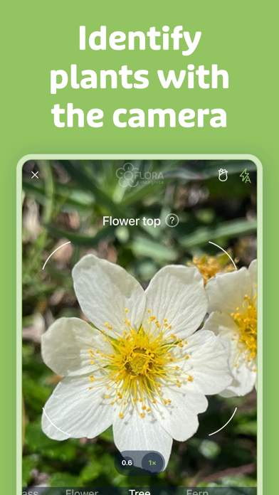 Flora Incognita Screenshot 2 - AppWisp.com Flora Incognita Screenshot 2 - AppWisp.com