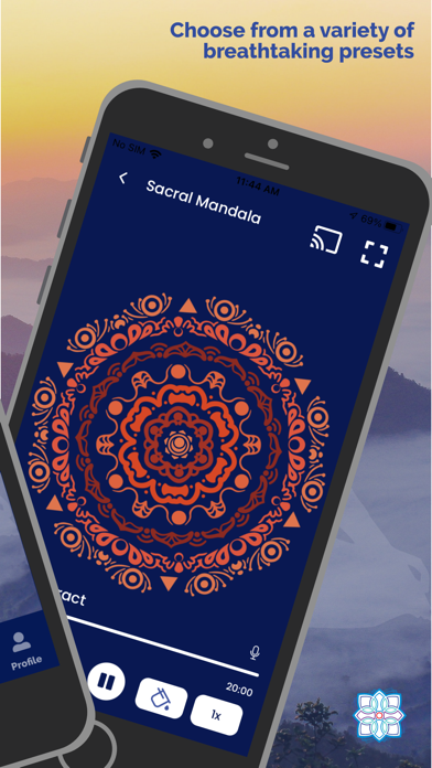 Spinning Mandalas