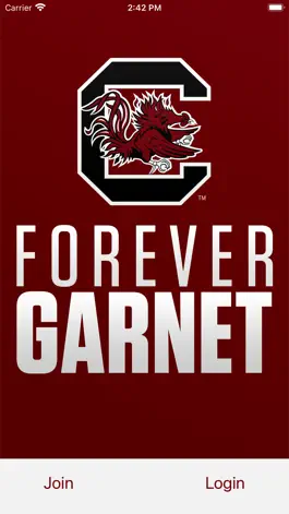 Game screenshot Forever Garnet mod apk